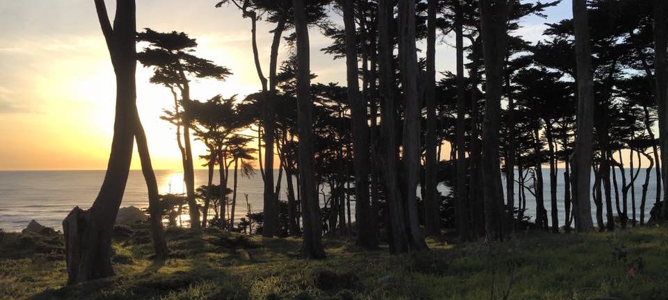 The Running Bibliophile