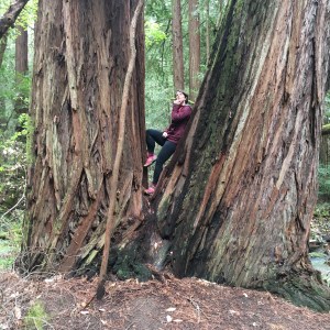 Casual Contemplation